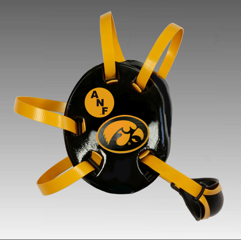 Iowa Official Headgear